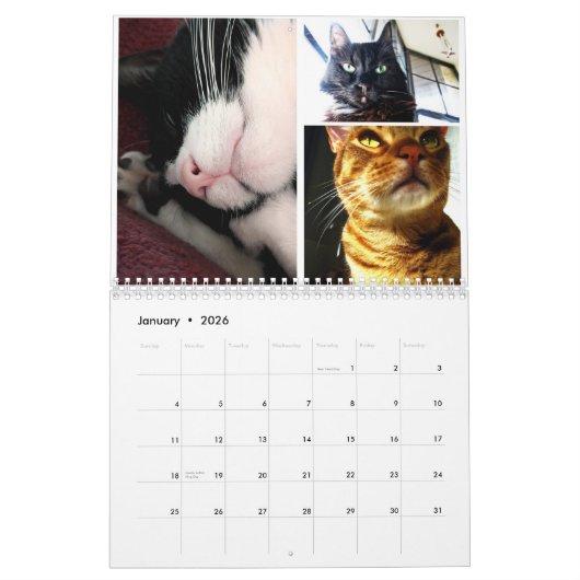2026 Cat Calendar Kalender (Jan 2026)