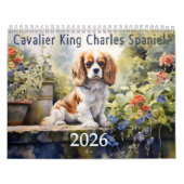 2026 Cavalier King Charles Spaniel Kalender (Titelbild)
