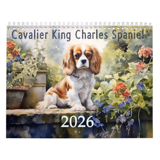 2026 Cavalier King Charles Spaniel Kalender (Titelbild)