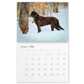 2026 Chocolate Lab Dog Lama Gift Labrador Lovers  Kalender (Jan 2026)