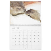 2026 Clara's Corner Groundhog Calendar B Kalender (Mär 2027)