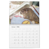 2026 Clara's Corner Groundhog Calendar F Kalender (Jan 2026)