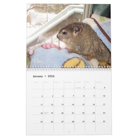 2026 Clara's Corner Groundhog Calendar F Kalender (Jan 2026)