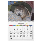 2026 Claras Corner Groundhog-Kalender A Kalender (Jan 2027)