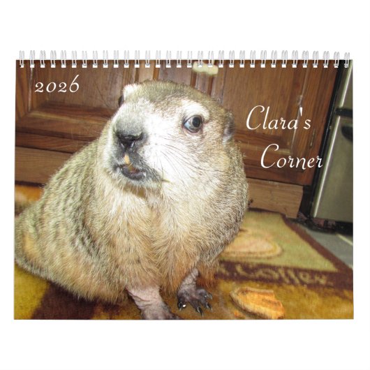2026 Claras Corner-Waldmurmeltier-Kalender B Kalender (Titelbild)