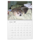 2026 Claras Corner-Waldmurmeltier-Kalender B Kalender (Jan 2027)
