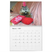 2026 Claras Corner-Waldmurmeltier-Kalender B Kalender (Feb 2027)