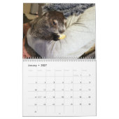 2026 Claras Groundhog-Kenderkalender G Kalender (Jan 2027)
