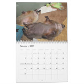 2026 Claras Groundhog-Kenderkalender G Kalender (Feb 2027)