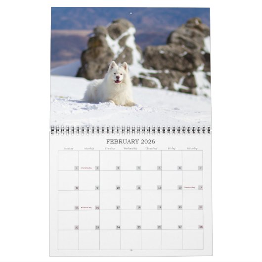 2026 CRB Calendar Kalender (Feb 2026)