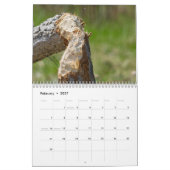 2026 Der Kalender 'The Seated View' (Feb 2027)