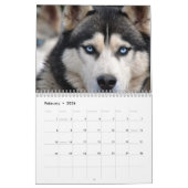 2026 Der wunderschöne sibirische Husky-Dog-Kalende Kalender (Feb 2026)