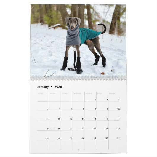 2026 DT Calendar Kalender (Jan 2026)