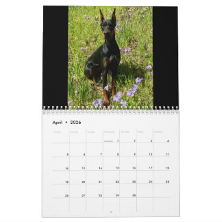 2026 DT Kalender