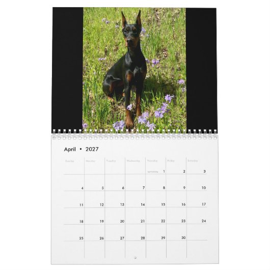 2026 DT Kalender (Apr 2027)