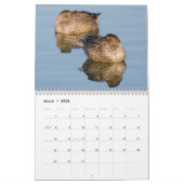 2026 Duck Fotos Wall Calendar Kalender (Mär 2026)