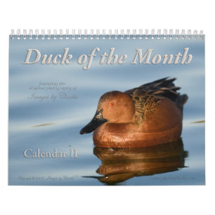 2026 Duck Fotos Wall Calendar Kalender