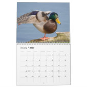 2026 Duck Fotos Wall Calendar Kalender (Jan 2026)