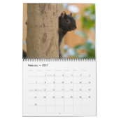 2026 Eichhörnchen-Foto-Mauerkalender Kalender (Feb 2027)