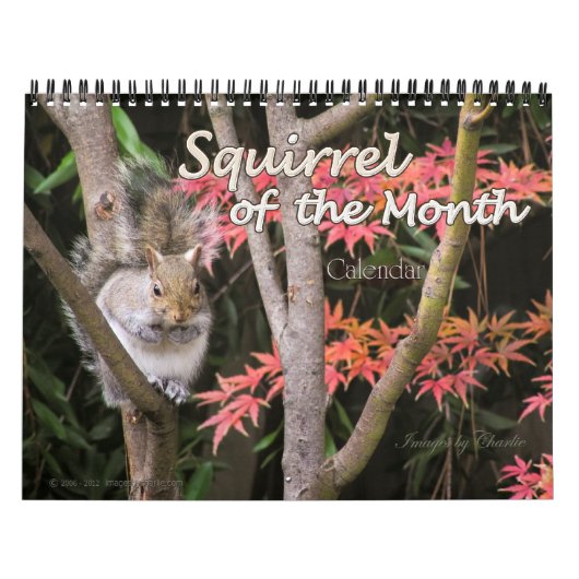 2026 Eichhörnchen-Foto-Mauerkalender Kalender (Titelbild)