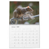 2026 Eichhörnchen-Foto-Mauerkalender Kalender (Jan 2027)