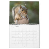 2026 Eichhörnchen-Foto-Mauerkalender Kalender (Mär 2027)