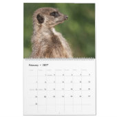 2026 Ein Jahr mit Meerkats Kalender (Feb 2027)