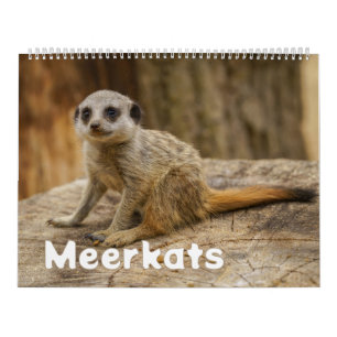 2026 Ein Jahr mit Meerkats Kalender