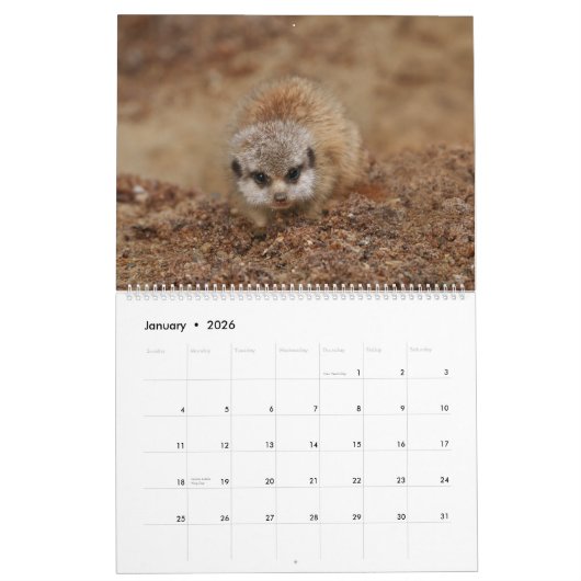 2026 Ein Jahr mit Meerkats Kalender (Jan 2026)