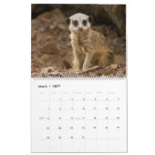 2026 Ein Jahr mit Meerkats Kalender (Mär 2027)