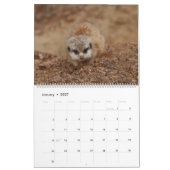 2026 Ein Jahr mit Meerkats Kalender (Jan 2027)