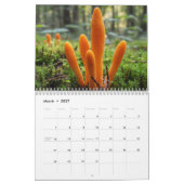 2026 Enchanted Mushroom Photo Kalender (Mär 2027)