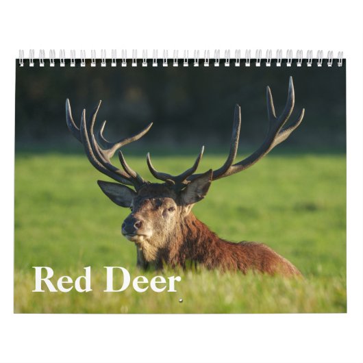 2026 Erzbischöfe Kalender (Titelbild)