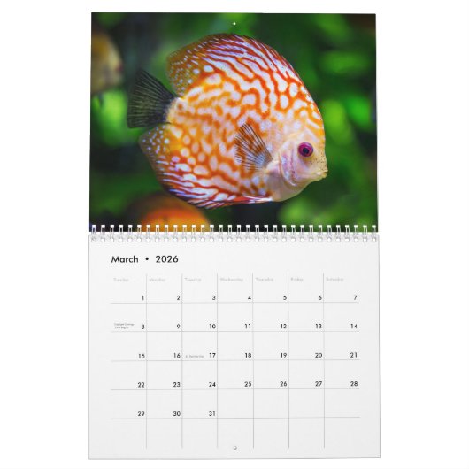 2026 Farbiger Fisch Kalender (Mär 2026)