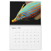 2026 Farbiger Fisch Kalender (Feb 2026)