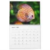 2026 Farbiger Fisch Kalender (Mär 2027)
