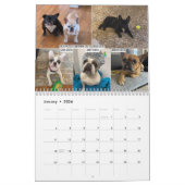 2026 FBRN French Bulldog Rescue Network Calendar Kalender (Jan 2026)