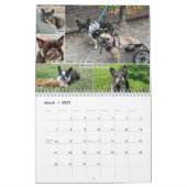 2026 FBRN French Bulldog Rescue Network Calendar Kalender (Mär 2027)