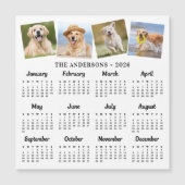 2026 Foto Haustiere Haustiere 12 Monate Kalender Magnetkarte (Vorderseite)