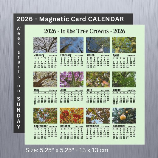 2026 Foto Tree Kalender Sonntag Start Magnetkarte