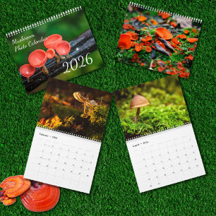 2026 Foto von verzauberten Pilzen Kalender
