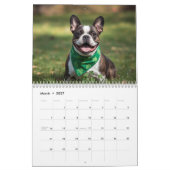 2026 French Bulldog Calendar | 12 Months Kalender (Mär 2027)