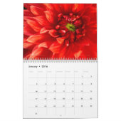 2026 Gartengarten Blume Mauerkalender Kalender (Jan 2016)