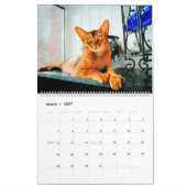 2026 Gorgeous Abyssinian Cat Lovers Gift Kalender (Mär 2027)