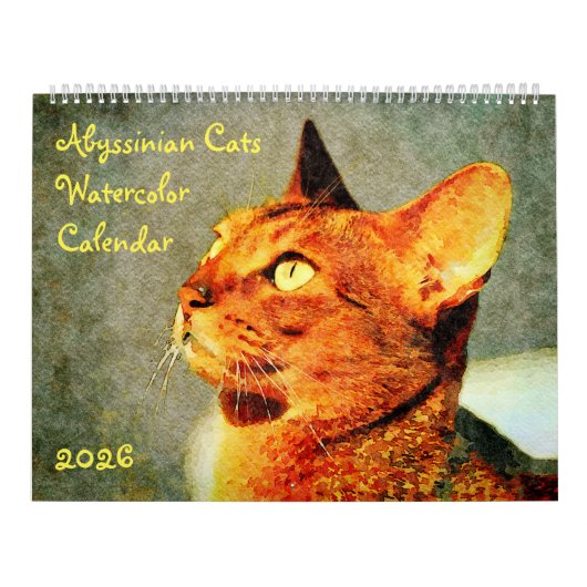 2026 Gorgeous Abyssinian Cat Lovers Gift Kalender (Titelbild)