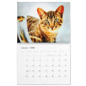 2026 Gorgeous Bengal Cat Owner Lover Gift Kalender (Jan 2026)