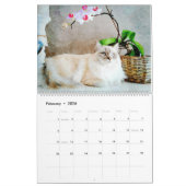 2026 Gorgeous Rag Doll Cat Mam Lover Owner Gift Kalender (Feb 2026)