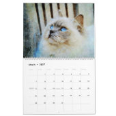 2026 Gorgeous Rag Doll Cat Mam Lover Owner Gift Kalender (Mär 2027)