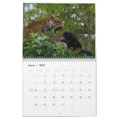 2026 Große Katzen und mehr Kalender (Mär 2027)