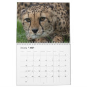 2026 Große Katzen und mehr Kalender (Jan 2027)